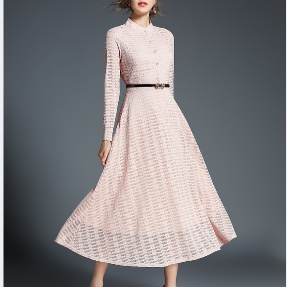 Coeur De Vague Dresses & Skirts - NWT Coeur De Vague Pink Ripple Lace A-Line Dress L